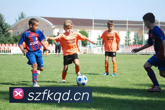 App Interface Preview